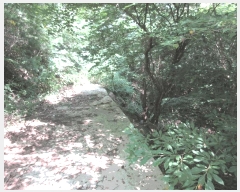  2025Ÿ��51914 ���� ���ʱ� ������ �ܰ ��257-4      ����(�Ӿ�)���