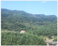  2025Ÿ��51914 ���� ���ʱ� ������ �ܰ ��257-4      ����(�Ӿ�)���