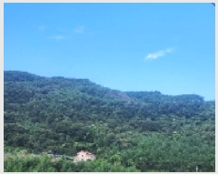  2025Ÿ��51914 ���� ���ʱ� ������ �ܰ ��257-4      ����(�Ӿ�)���