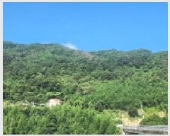  2025Ÿ��51914 ���� ���ʱ� ������ �ܰ ��257-4      ����(�Ӿ�)���