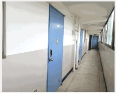  2025Ÿ��52029  ����Ʈ���