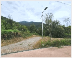  2025Ÿ��52047 ���� ���ʱ� ����� Ȳ���� 594-81      ����(����)���