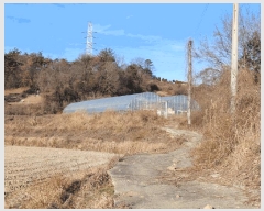  2025Ÿ��52334 ���� ������ �Ҷ�� ���θ� 510      ����(��)���