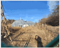  2025Ÿ��52334 ���� ������ �Ҷ�� ���θ� 510      ����(��)���