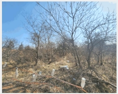  2025Ÿ336   Ȳ浿 1257       (1)