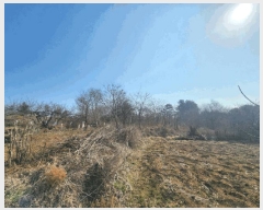  2025Ÿ336   Ȳ浿 1257       (1)