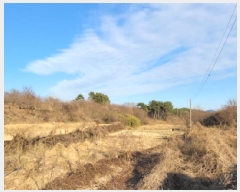  2025Ÿ336   Ȳ浿 1257       (1)