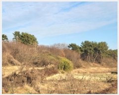  2025Ÿ336   Ȳ浿 1257       (1)