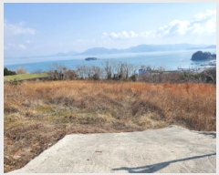  2025Ÿ354   ȭ â 61-4      (1)