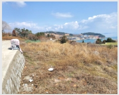  2025Ÿ354   ȭ â 61-4      (1)