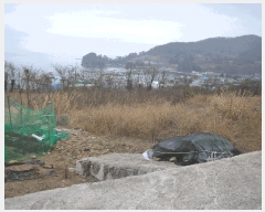  2025Ÿ354   ȭ â 61-4      (1)