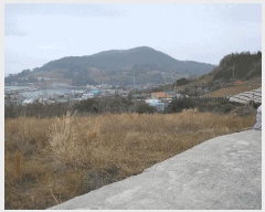  2025Ÿ354   ȭ â 61-4      (1)