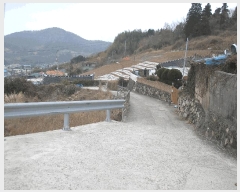  2025Ÿ354   ȭ â 61-4      (1)