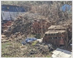  2025Ÿ��366 ���� ��õ�� ��絿 55-1       ����(��1)���