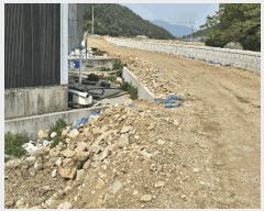  2025Ÿ��378  â�����