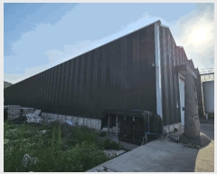  2025Ÿ��378  â�����