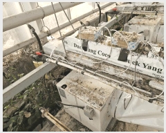  2025Ÿ��378  â�����