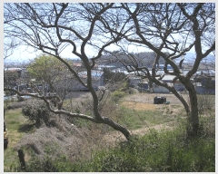  2025Ÿ414  õ  渮 294-2      ()