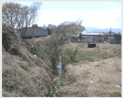  2025Ÿ414  õ  渮 294-2      ()