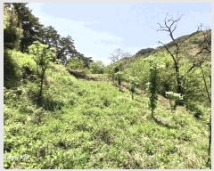  2025Ÿ426  ʱ 굿 ޸ 363      (1)