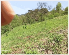  2025Ÿ426  ʱ 굿 ޸ 363      (1)