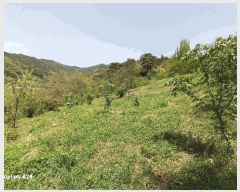  2025Ÿ426  ʱ 굿 ޸ 363      (1)