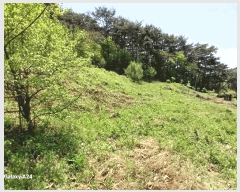  2025Ÿ426  ʱ 굿 ޸ 363      (1)