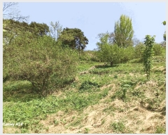  2025Ÿ426  ʱ 굿 ޸ 363      (1)