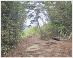  2025Ÿ426  ʱ 굿 ޸ 363      (1)