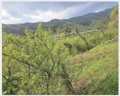  2025Ÿ426  ʱ 굿 ޸ 363      (1)