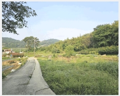  2025Ÿ468    ʸ 1372-18      (1)