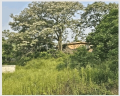  2025Ÿ468    ʸ 1372-18      (1)