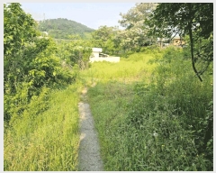  2025Ÿ468    ʸ 1372-18      (1)