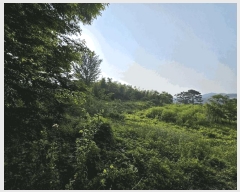  2025Ÿ468    ʸ 1372-18      (1)