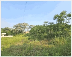  2025Ÿ468    ʸ 1372-18      (1)