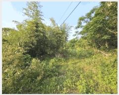  2025Ÿ468    ʸ 1372-18      (1)