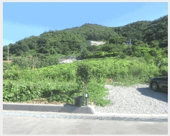  2025Ÿ��528 ���� ������ ������ ��縮 1299-2      ����(��1)���