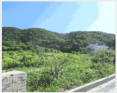  2025Ÿ��528 ���� ������ ������ ��縮 1299-2      ����(��1)���