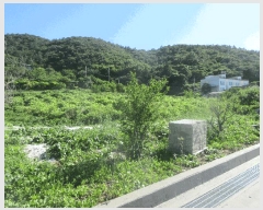  2025Ÿ��528 ���� ������ ������ ��縮 1299-2      ����(��1)���