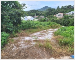  2025Ÿ��528 ���� ������ ������ ��縮 1299-2      ����(��1)���