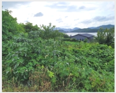  2025Ÿ��528 ���� ������ ������ ��縮 1299-2      ����(��1)���