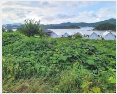  2025Ÿ��528 ���� ������ ������ ��縮 1299-2      ����(��1)���