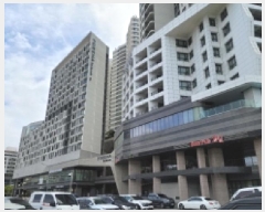  2025Ÿ��540  ���ǽ��ڰ��