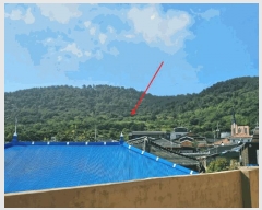  2025Ÿ546  ﱺ  û긮 320      (1)