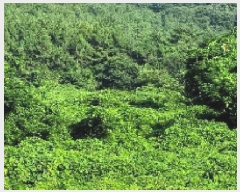  2025Ÿ546  ﱺ  û긮 320      (1)