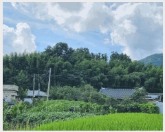  2025Ÿ564    ̸ 330-14      ()