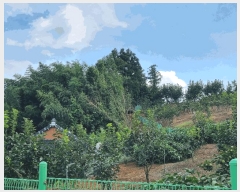  2025Ÿ564    ̸ 330-14      ()