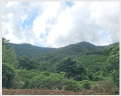  2025Ÿ564    ̸ 330-14      ()