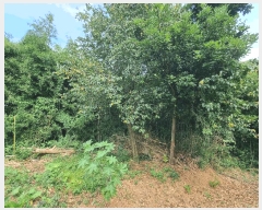  2025Ÿ564    ̸ 330-14      ()