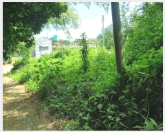  2025Ÿ564    ̸ 330-14      ()